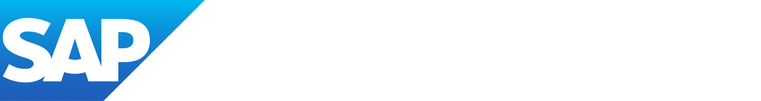 SAP_BusinessOne_R_grad_wht